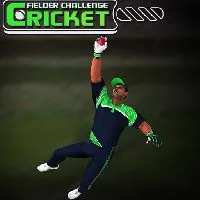 Cricket Fielder Challenge Game - Unblocked Games 76