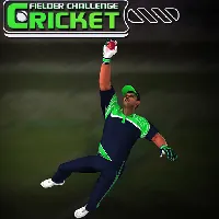 Cricket Fielder Challenge Game - Unblocked Games 76
